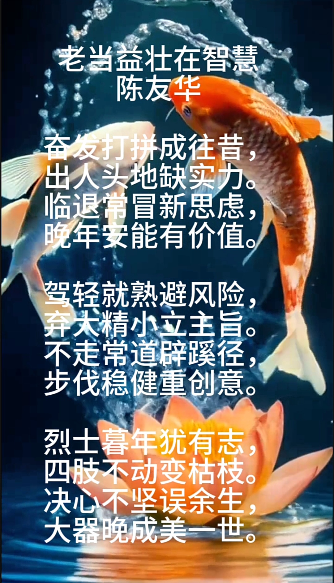 白鹰不负众望，以虐败对手一路前行